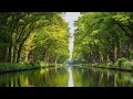Lagu Relaxing music treats diseases of the heart and blood vessels🌿Gentle music, calms the nervous system