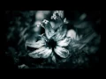 Lagu Dj Weedside - Secret Love song [ Reggae Remix 2016 ]