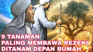 Download TANDURAN HOKI!!!_INILAH 9 TANAMAN PEMBAWA REZEKI DI DEPAN RUMAH MENURUT PRIMBON DAN FENGSHUI MP3