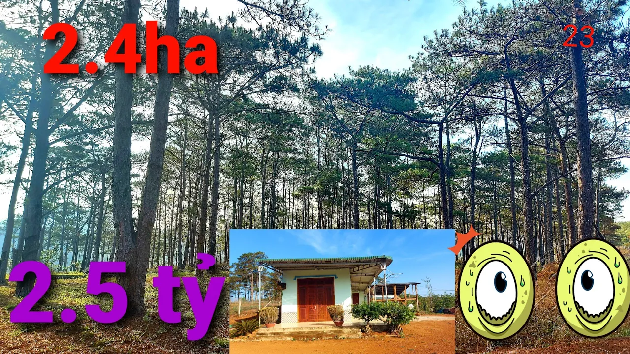 Bán đất view nghĩ dưỡng siêu đẹp.