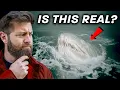 Lagu 6 Deadly Sea Monsters That Actually Exist
