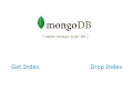 Fetch Index and Drop remove Index MongoDB