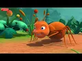 Incy Wincy Spider Nursery Rhyme for Children