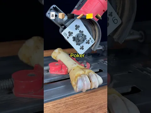 Which one can cut Beef Bone?