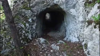                     دندنها