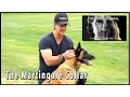 The Martingale Collar - Dog Training Equiptment