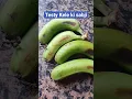 Download Lagu viral kachche kele ki sabji ki recipe #banana #kelekisabzi #shortsfeed #food #cookingshorts #shorts