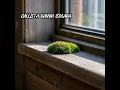 Windowsill