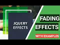 8 jQuery fading Effects in Hindi With Examples jQuery Tutorials