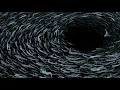 Viken Arman (feat. Jo.Ke) - Believe (Acid Pauli Remix)