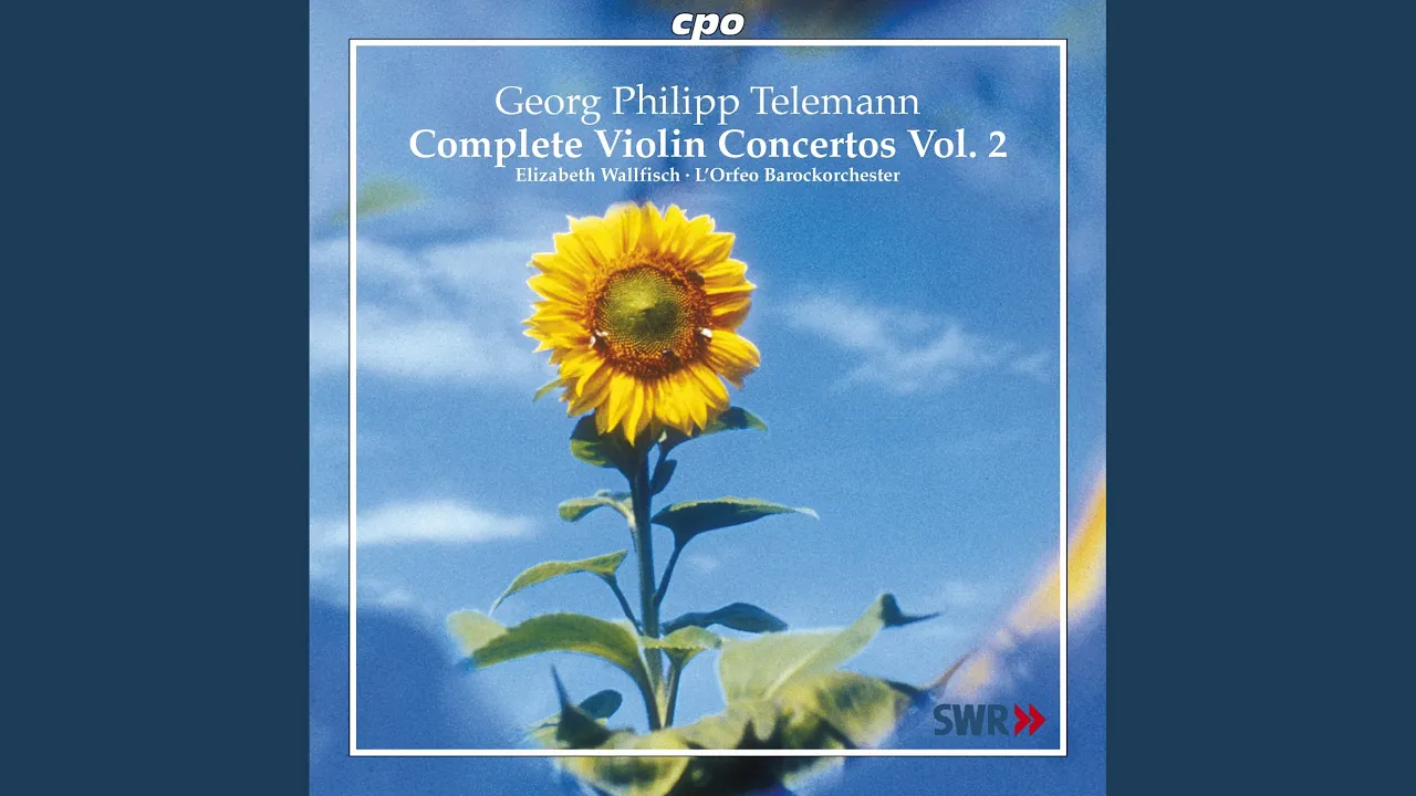 Violin Concerto in G Minor, TWV 51:g1: III. Allegro