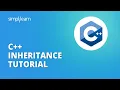 C Inheritance Tutorial Introduction To Inheritance In C Programming With Example Simplilearn