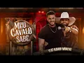 Download Lagu Guilherme Silva part. @NandoMorenoOficial  - MEU CAVALO SABE