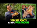 Download Lagu 3 Powerful Acupressure Points to Heal Your Body | Mantak Chia
