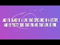 Ruth B. - Dandelions (Lyrics)