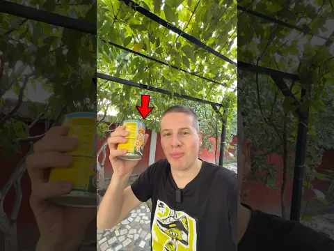 ROKI SE SAKRIO #djape #roki #rokimacka