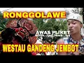 Lagu MINGGER AWAS PLIKET!!! WES TAU GANDENG JEMBOT (Raja Panci Official) Voc. Della