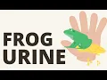Why a Frog Peed on You