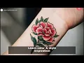 Top 10 Carnation Tattoo Ideas Meanings - Ultimate Guide
