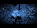 Insomnium  -  instrumentals (Beyond The Horizon, Decoherence,Karelia)
