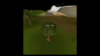 Every Tree in OSRS as of 14th January 2026