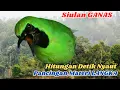 Download Lagu Bikin Cucak Ijo Lokal Gacor Sekali! Teknik Masteran Terbaru Burung Lomba!