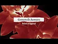 Download Lagu Raissa Anggiani - Gemercik Asmara (Official Lyric Video)