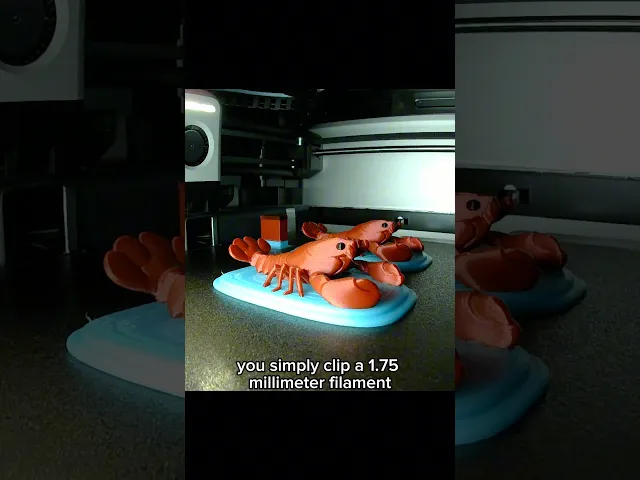 Lobster video thumbnail