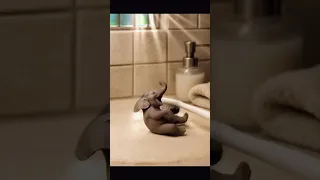 بخندید تا دنیا به شما بخندد خنده بر هر درد بی درمان دواست خنده خنده دار خندیدن شادی قلقلک 