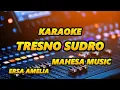 Download Lagu KARAOKE - TRESNO SUDRO - MAHESA MUSIC - ERSA AMELIA