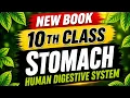 Pyloric and cardiac sphincter 10th class Biology stomach chapter1 human digestive system new book