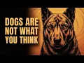 Download Lagu Edgar Cayce's profetie over honden is nu werkelijkheid geworden