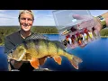 Download Lagu FISHING STORE CHALLENGE 🎣 What do we get for 1500 sek at Upplev in Linköping?