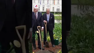 لماذا يزرع الملوك الأشجار 