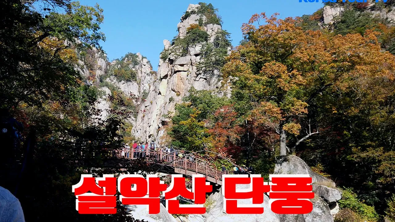 설악산 주전골 단풍 サムネイル