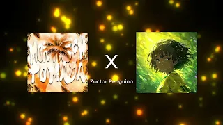 MONTAGEM TOMADA X PASSO BEM SOLTO 