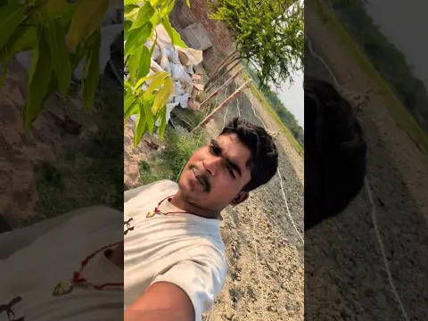 aam ka ped paudha lagate hue short video aur Desh mere Sath