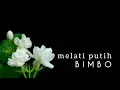 Download Lagu MELATI PUTIH - BIMBO (lirik)