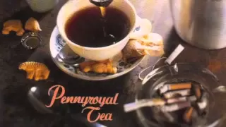 Download Nirvana - Pennyroyal Tea single [Full] MP3