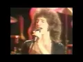 Eric Carmen and the Raspberries - Go All the Way (live)
