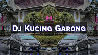 kucing garong discoyawremix