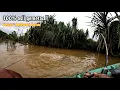 Download Lagu Edan !! Tarikan nya seperti narik kambing semakin di tarik semakin melawan