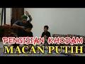 Download Lagu PENGISIAN KHODAM MACAN PUTIH‼️Tes Langsung Tajrib