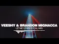 Veeshy & Brandon Mignacca - Let Me Down (Vocal Mix) [Silk Music]