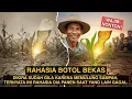 Lagu Tetangga MENERTAWAKANNYA! Petani Ini Ubah Sampah Botol Jadi Panen Melimpah di Tanah Gersang