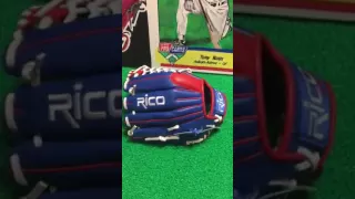 Rico Prime Series Custom Baseball Glove