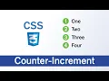 CSS Counter Counter-Increment with example