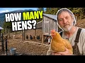 Stop Buying Too Many Chickens - The chicken Formula That Saves Money