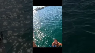 Attacked from Below 😳 #boatlife #dirtyjobs #shorts