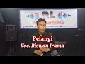 Download Lagu Pelangi_Rhoma Irama_Cover Riswan Irama